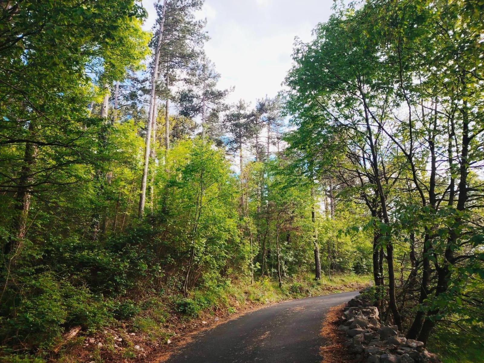 Apartman Forest Heritage Hreljin