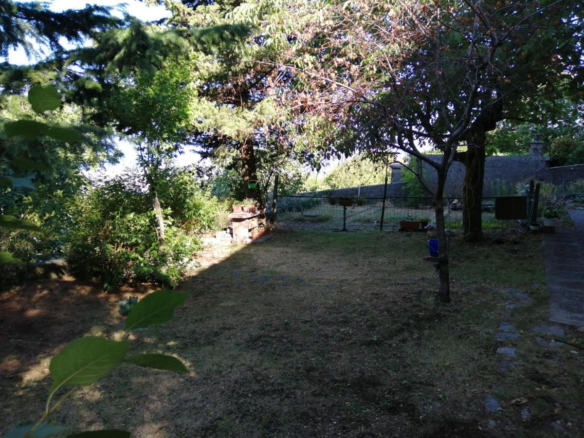 Forest Heritage Apartment Hreljin
