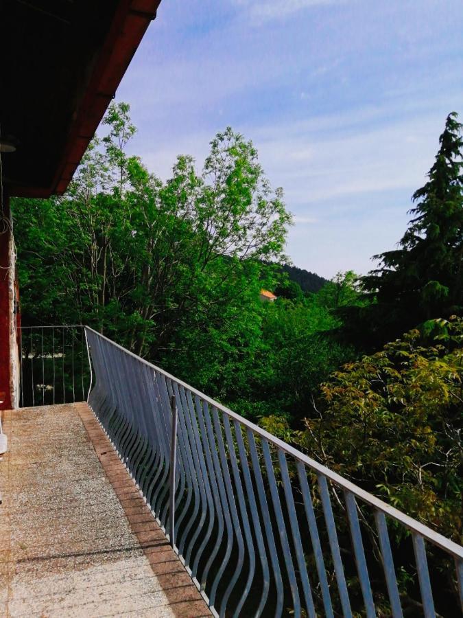 Forest Heritage Apartment